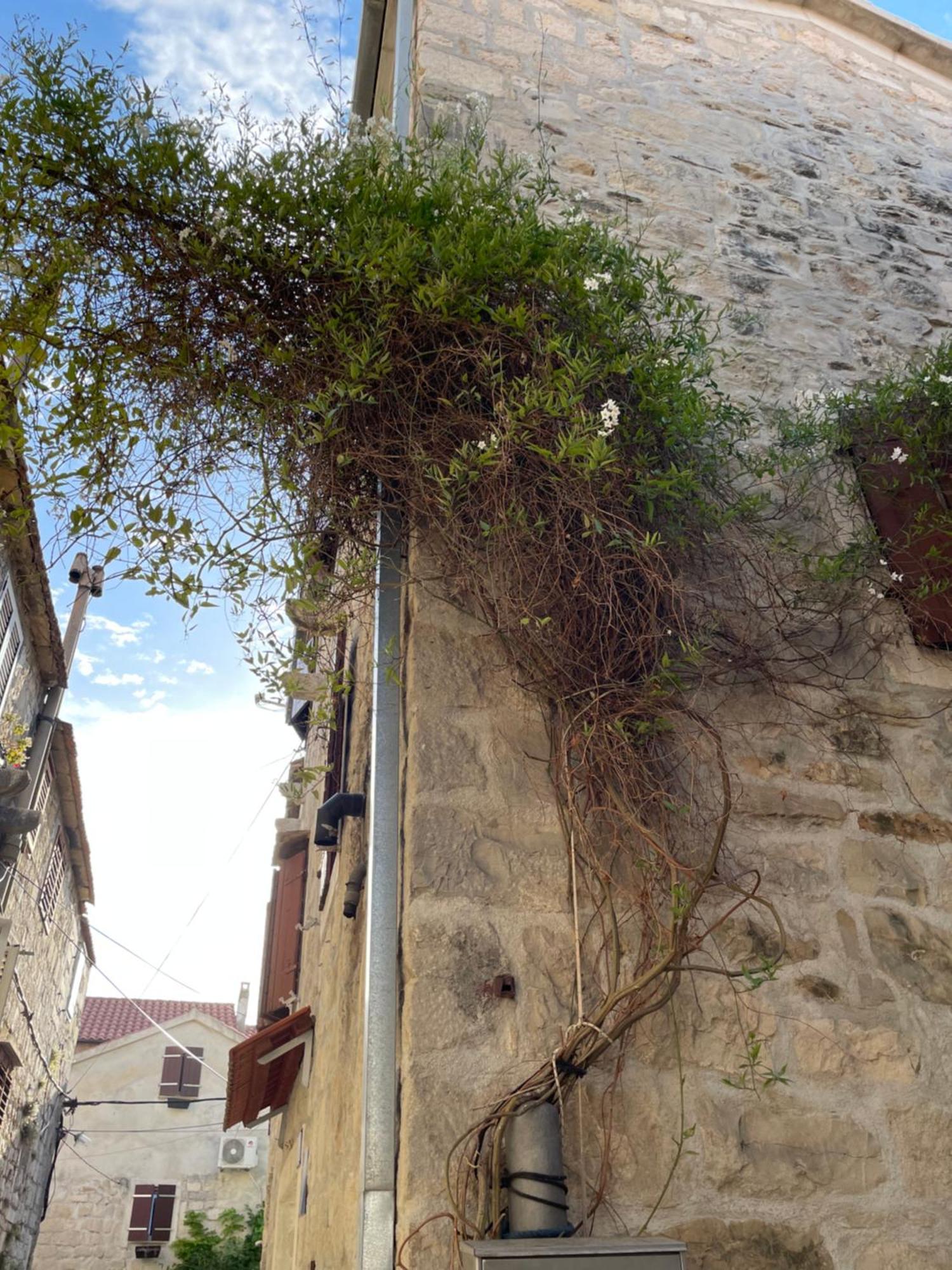 Apartman Pundinica Kastela Dış mekan fotoğraf